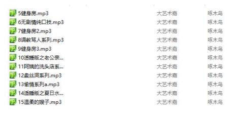 大艺术嘉啄木鸟系列音频5-15集打包11部【网盘下载】-歆尘视觉